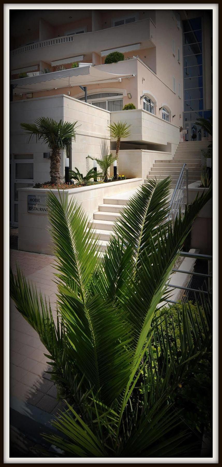 Rosina Hotel